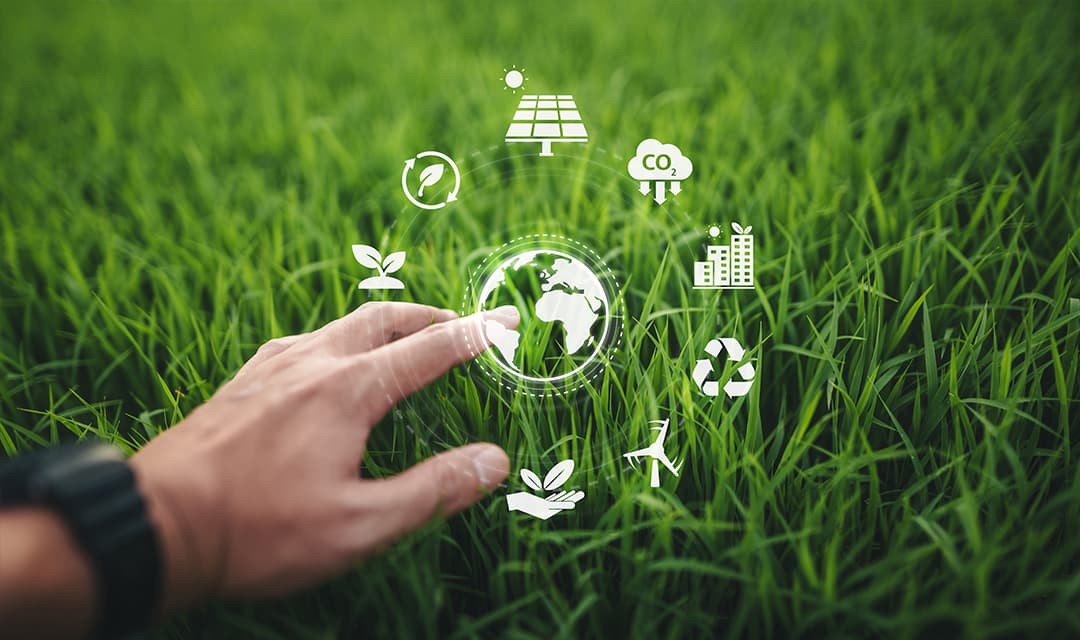 Grassland conservation and prairie restoration