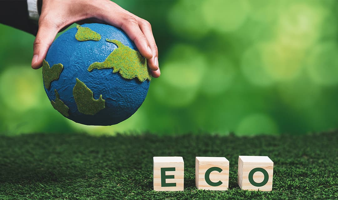 Renewable energy projects including solar and wind power