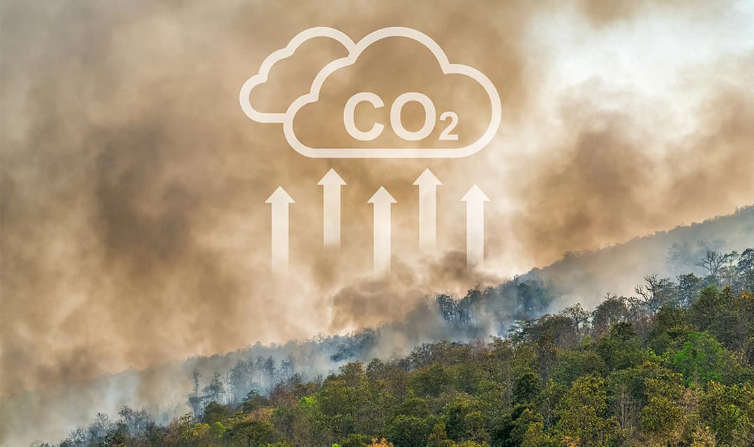 Complete coverage of carbon emissions from every pageview